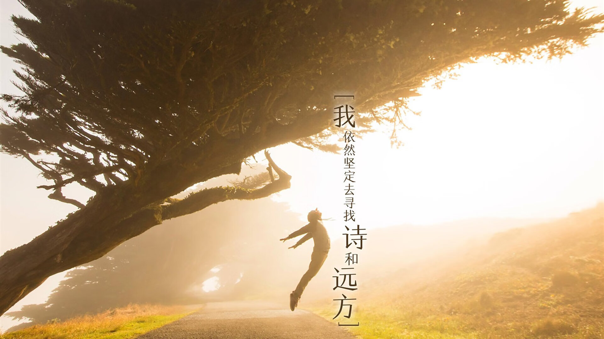 随机美国赛车场：高速与激情的结合，美国的赛车比赛
