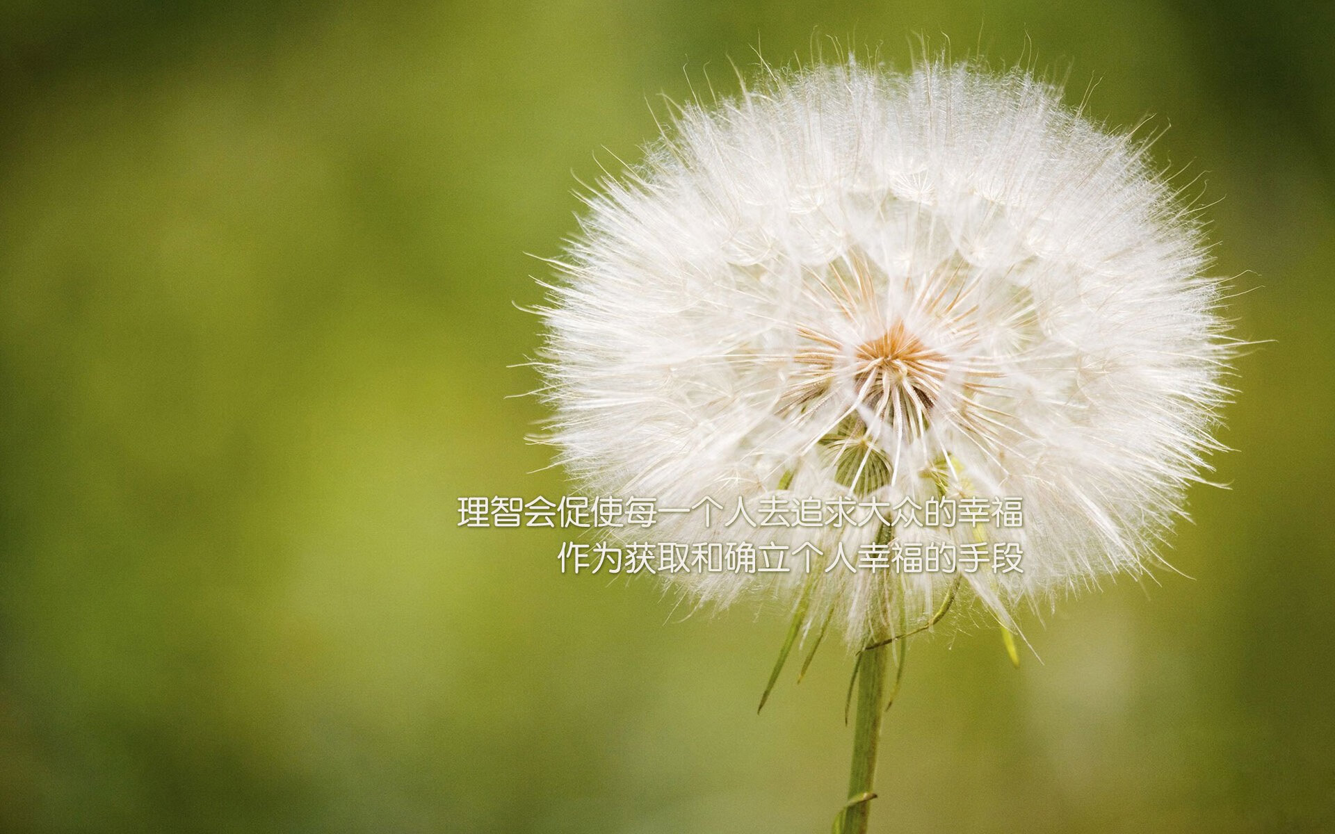 随机贝林厄姆当选欧洲金童奖，未来之星，贝林厄姆转会