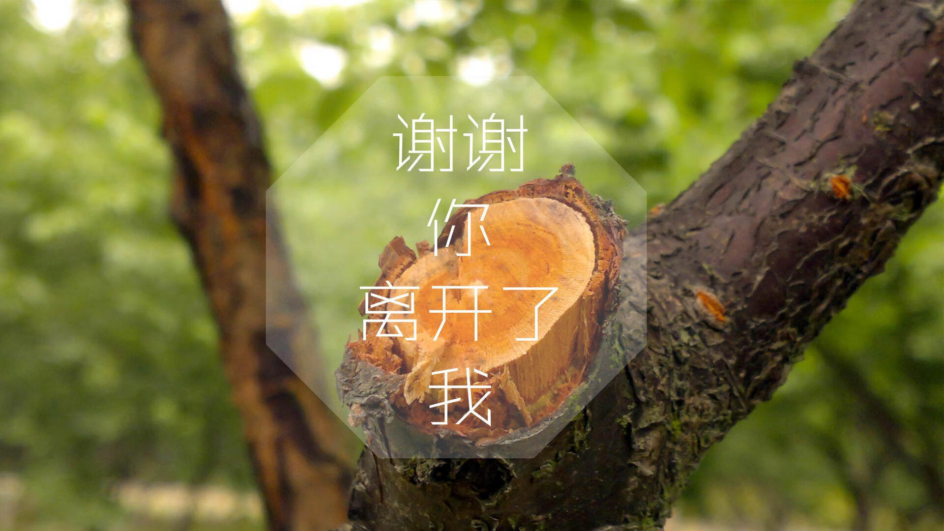 摩纳哥冲击法甲前三，法甲摩纳哥实力怎么样