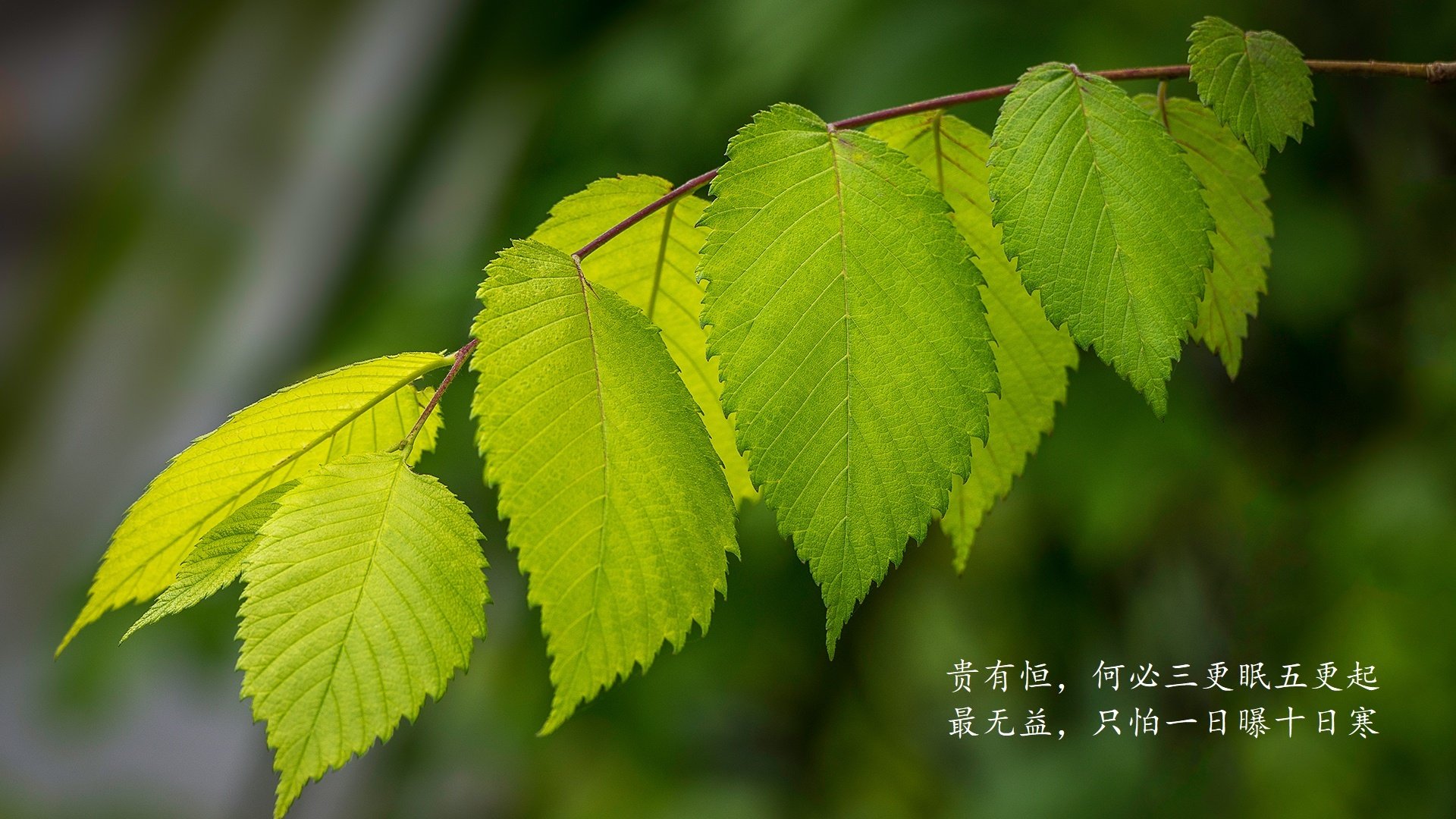 中国篮球青少年篮球发展趋势与挑战分析，中国青少年篮球训练大纲内容