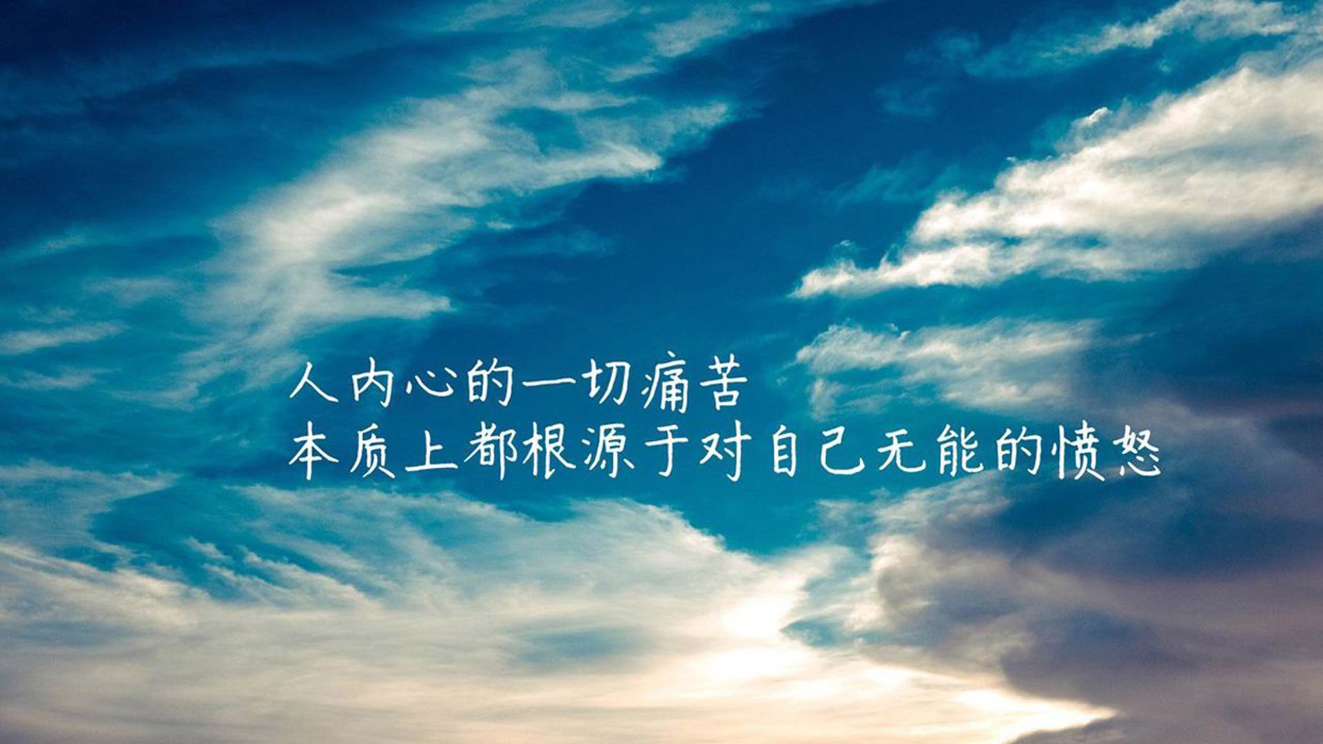 “腰旗橄榄球：东部新区赛场带来全新观赛体验”