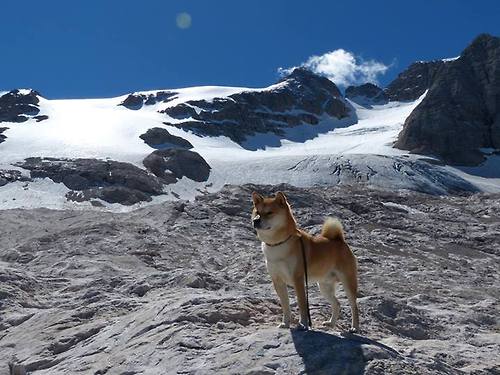 开云官网登录-山西龙狮年轻球员经验积累稳定性显著提高，龙狮篮球俱乐部青年队名单
