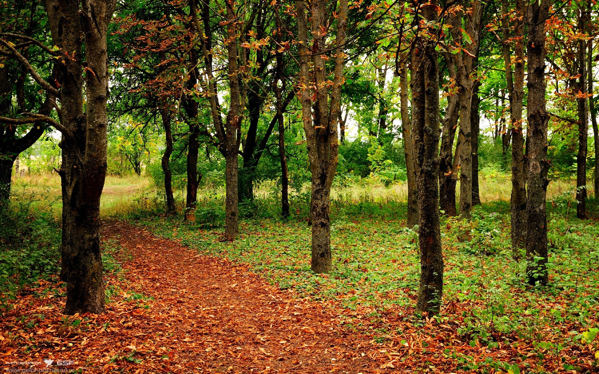 短道速滑训练中心升级启用智能计时系统,短道速滑技术