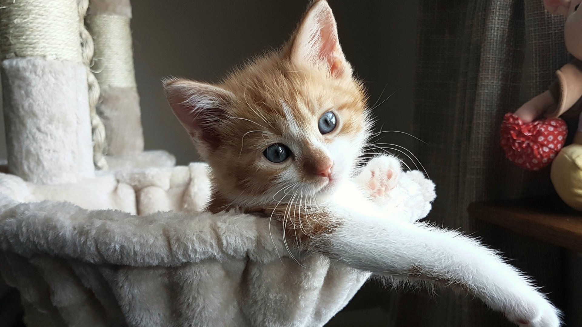 体育新闻中心赛场纪律观察,体育新闻赛况