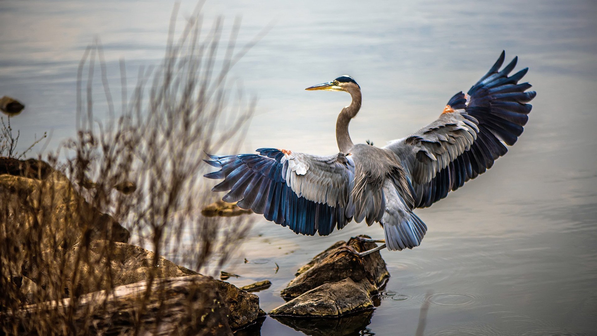 开云网页版登录入口-女子职业联赛收入逐年增长，行业前景看好，职业联赛女生