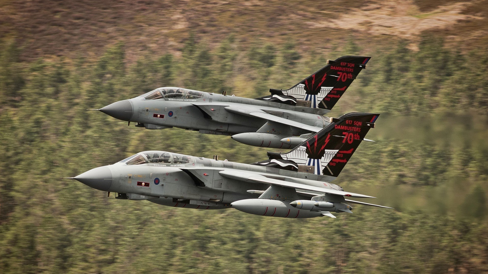 爱尔兰青训系统助力橄榄球未来腾飞，爱尔兰橄榄球联盟