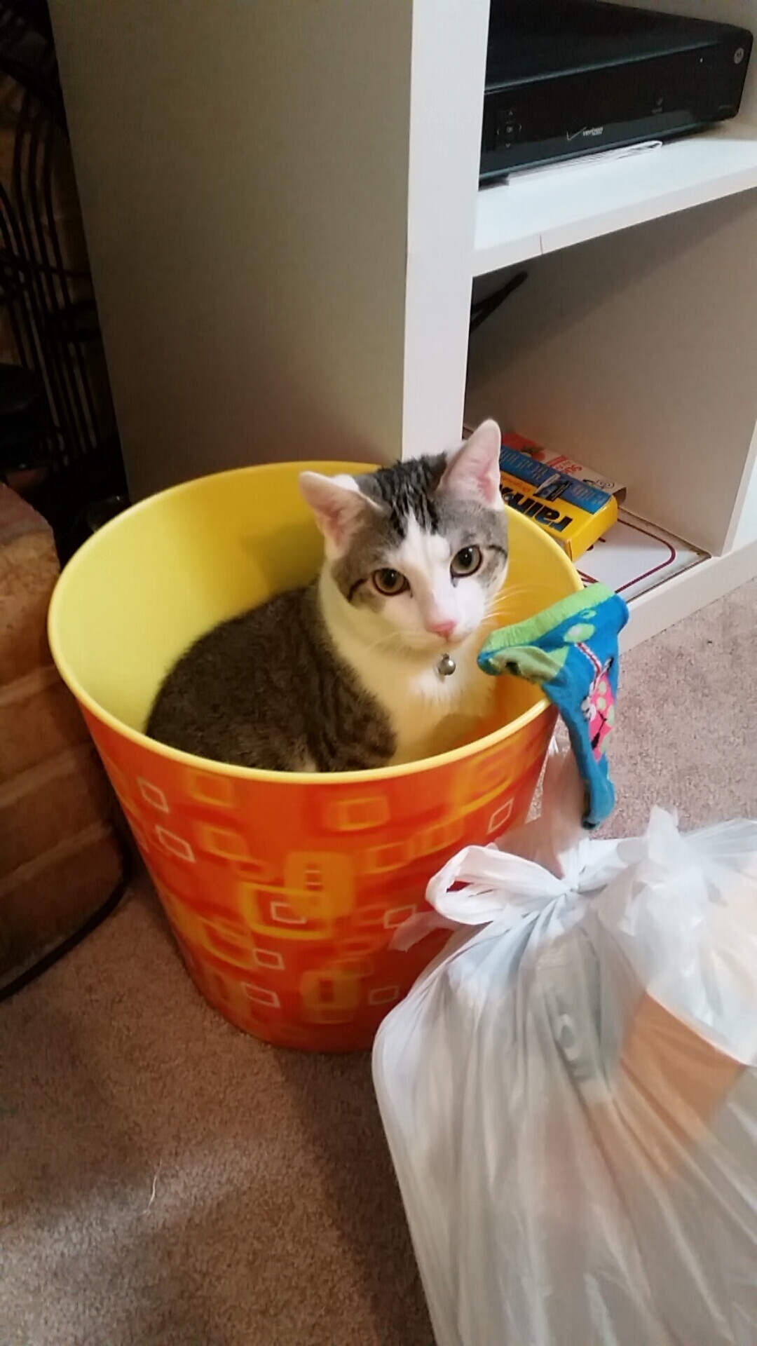 Kaiyun(中国)开云-王宗源赛场表现赢得观众喝彩，王宗源参加哪些项目