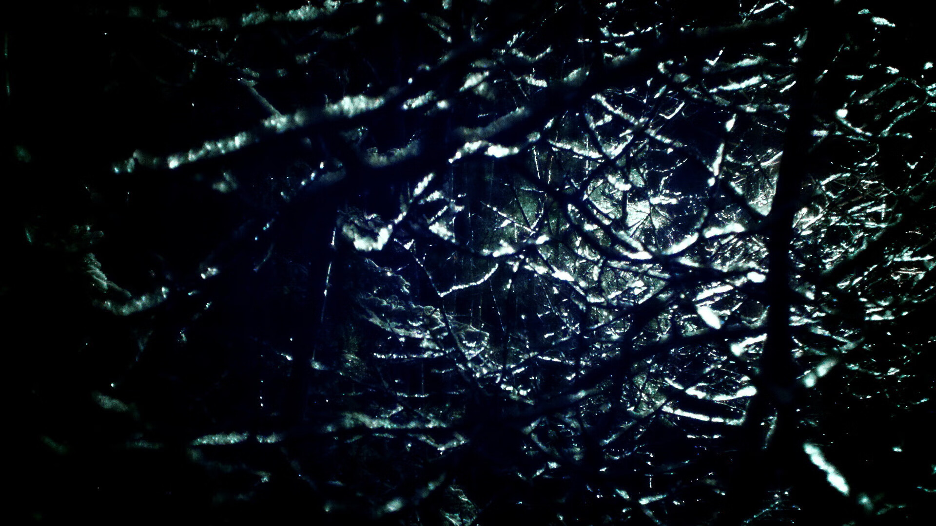 王宗源赛场表现赢得观众喝彩，王宗源参加哪些项目