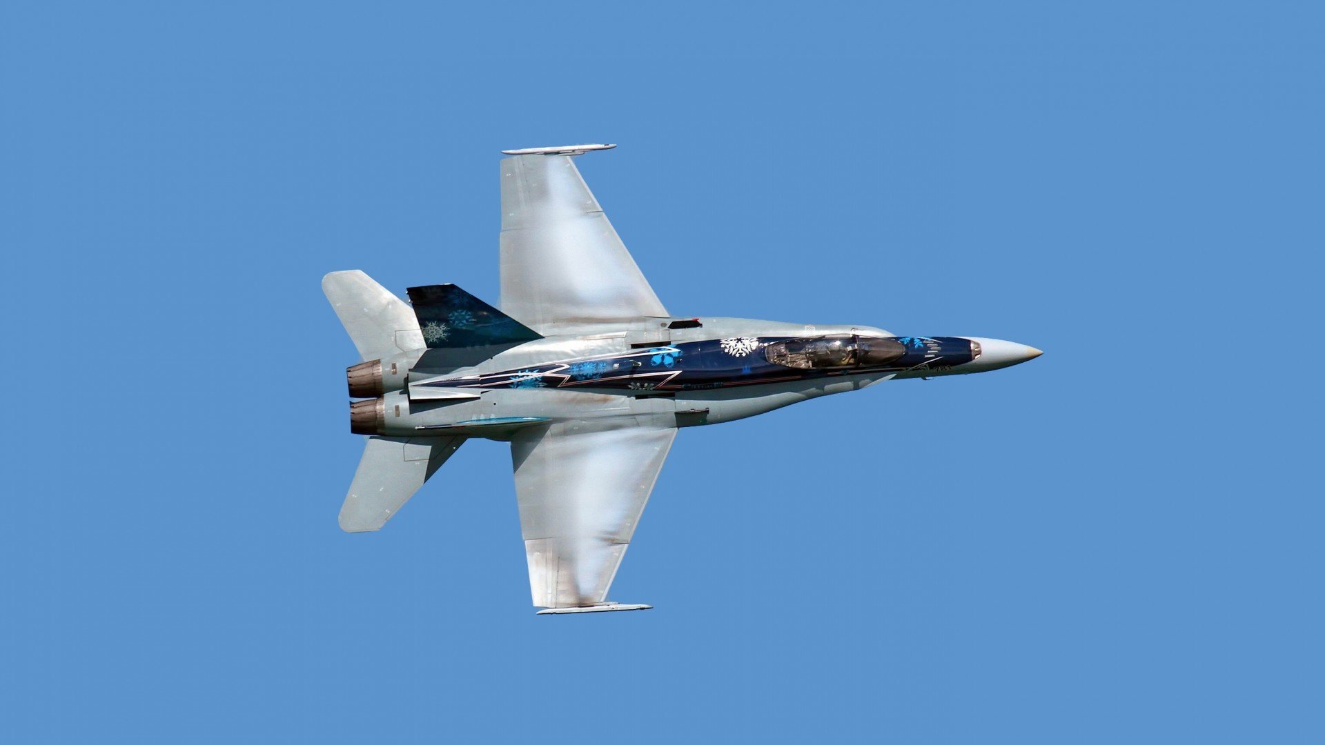 开云网站-皮特·斯图斯：不断突破自我，带领南非羚羊队向冠军进发，in 斯皮特 of