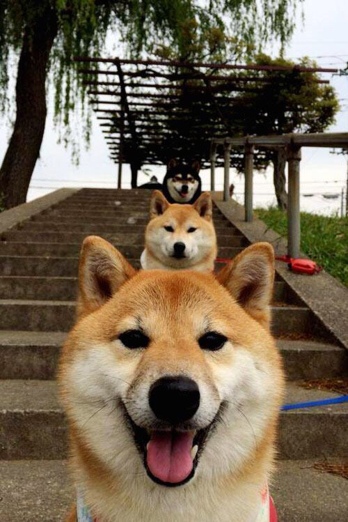 职业联赛完善球员合同管理机制保障权益,球员合同模板